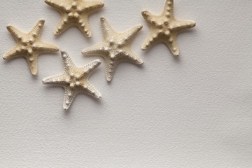 Fototapeta na wymiar Starfish on handmade paper background