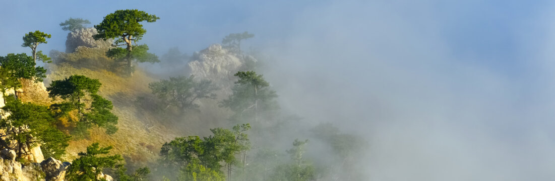 Fototapeta На высоком холме