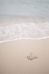 coral on the beach