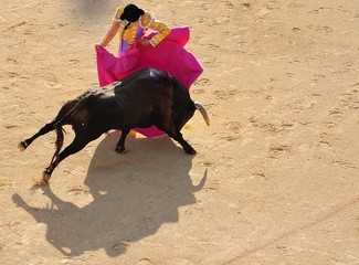 Fototapeta premium la corrida