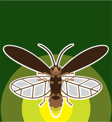 Firefly vector