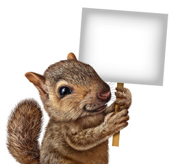 Squirrel Holding A Sign © freshidea