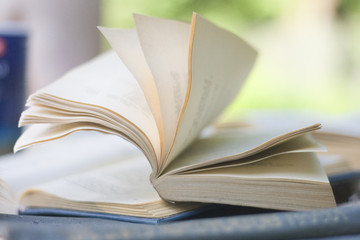 Раскрытая книга