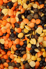 dried lentils