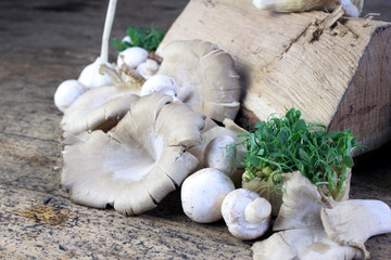 mushroom ensemble with wood billet