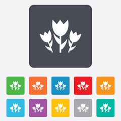 Flowers sign icon. Roses symbol.