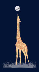 Fototapeta premium coloured giraffe