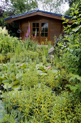 zugewucherter Gartenteich