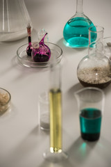 Laboratory glassware liquid
