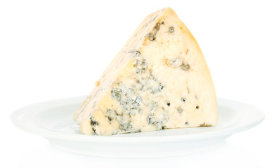 Cheese with mold isolated on white background close-up