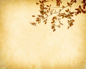 red leaves tree with old grunge antique paper texture