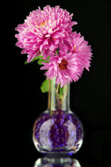 Beautiful flowers in vases with hydrogel
