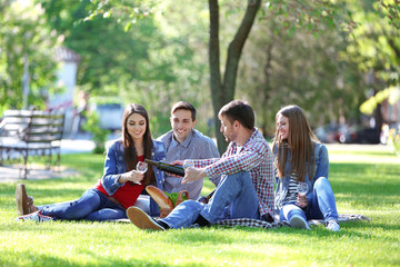 Happy friends on picnic in park