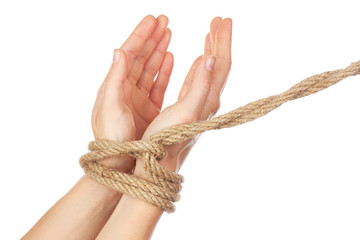 Tied hands, isolated  white