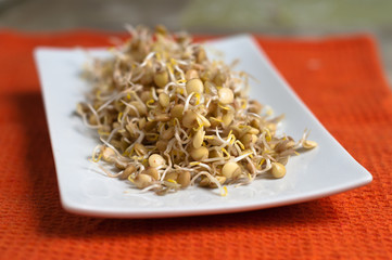 germogli di lenticchie