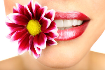 Beautiful flower in teeth, close up
