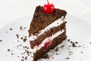 Chocolate cake slice isolated on the plate
