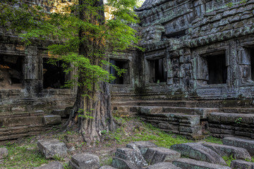 Naklejka premium Sunrise over Ta Phrom
