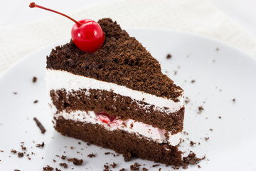 Chocolate cake slice isolated on the plate