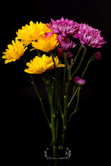 Yellow daisies and Chrysanthemums