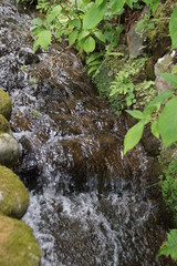 新緑の日光山の景色