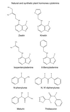 Structural chemical formulas of plant hormones cytokinins