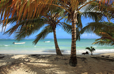 playa rincon en république dominicaine