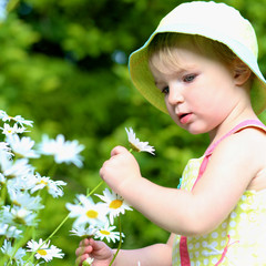 Little girl looking at daisies in the garden