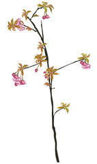 spring branch with pink buds
