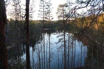 Karelia. View of the lake from above through trunks of trees.