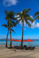 Beach chairs and palms on tropical sand beach