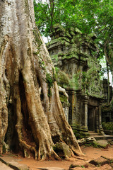 Ruin of Angkor Temple, Cambodia