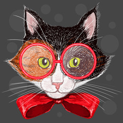 Portrait of a calico cat in red glasses and a bow - 65706292
