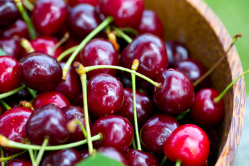 cherries in a bucket on wooden table