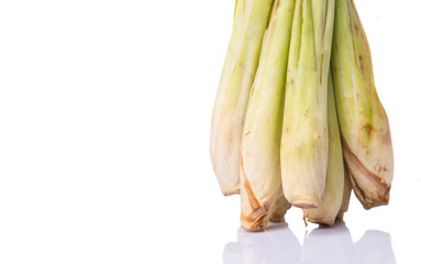 A bunch of lemongrass over white background