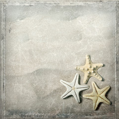 Fototapeta na wymiar Starfish on beach