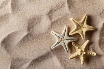 Fototapeta na wymiar Starfish on sand
