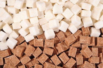 Brown and white refined sugar