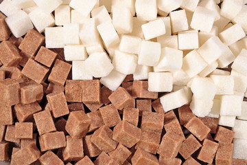 Brown and white refined sugar