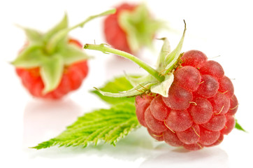 sweet raspberry isolated on white background