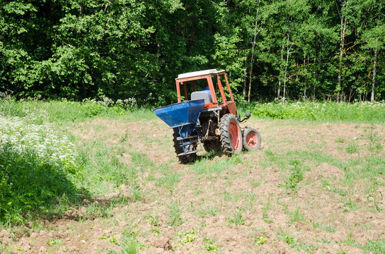 Farmer sow buckwheat seeds in field with tractor