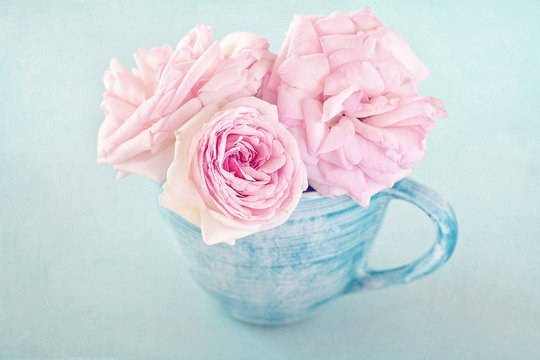 Beautiful fresh pink roses in a cup on a blue background