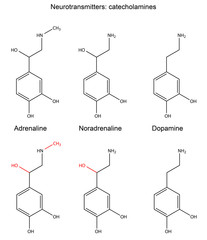 Сhemical formulas of neurotransmitters (catecholamines) © logos2012