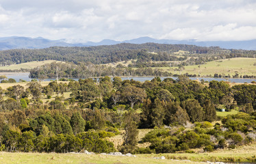 Fototapeta na wymiar Countryside landscape. Bingie (near Morua) . NSW. Australia
