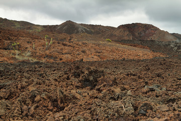 Volcanic landscape around Volcano Sierra Negra
