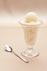Vanilla ice cream