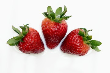 strawberries isolated