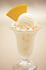 Vanilla ice cream