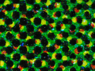 Halftone micrograph