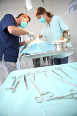 Veterinarian and assistant working in surgery room